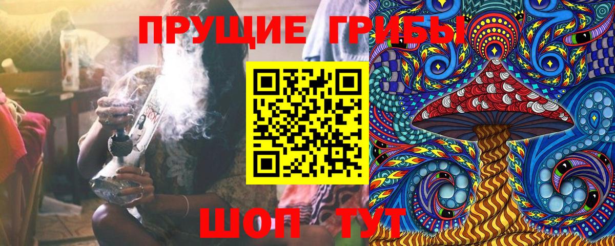 Псилоцибиновые грибы мицелий Губкинский